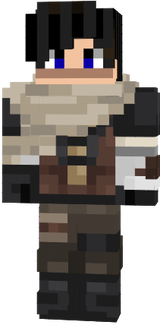 skin minecraft