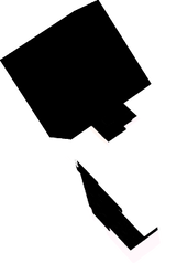 propia skihn