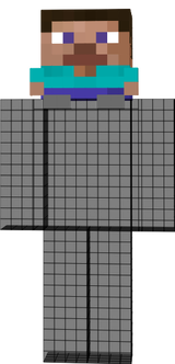 miniSTEVE