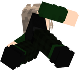 ZZV5BESTmini