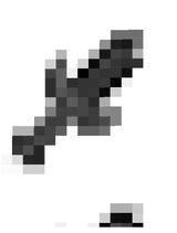 netherite_sword