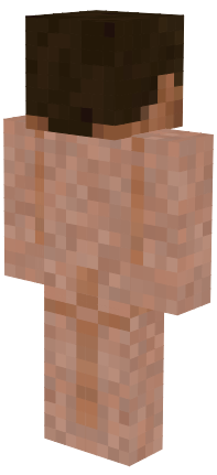 Preview of texture: STEVE