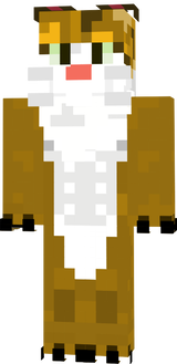 CatV5