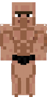 un skin de villageois un peu mastoque !