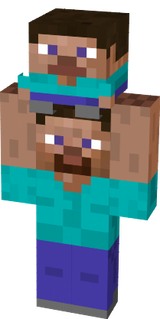 steve