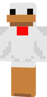 tavuk