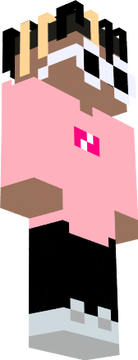 skin_minecraft