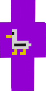 sonheca gaviota