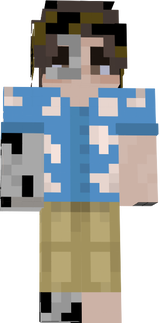 robot borlao