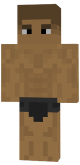 Magneto