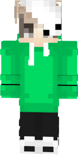 skin