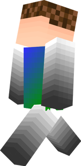 Skin 1