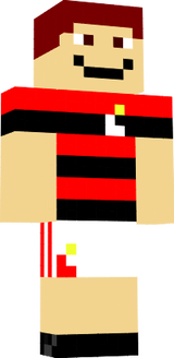 André Flamenguista
