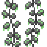 slimy_vine