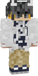 v3