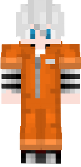 Preso New Skin