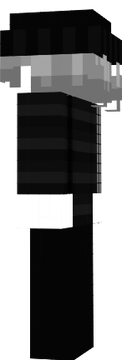 Pashmax_AMR