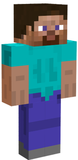 steve
