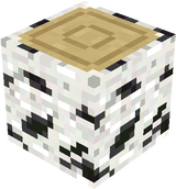 birch