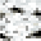 birch_log