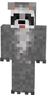 raccoon