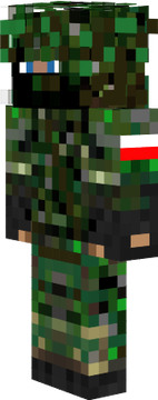 wojsko