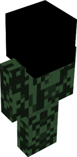 www