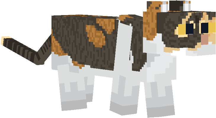 Preview of texture: Amy