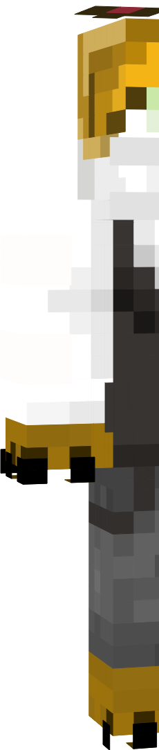 Preview of texture: CatV2