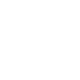 cobweb
