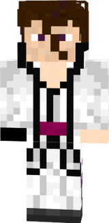 aizen mincraft