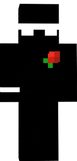 ppp