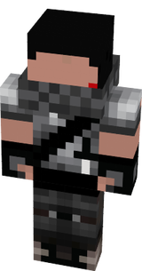 ninja