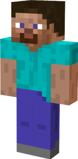 steve