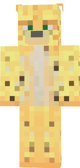 dsda