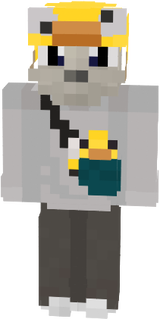 skin