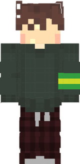 nanel