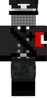 ss reich